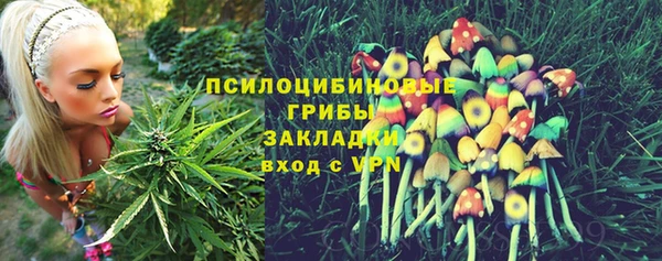 МДПВ Алексеевка