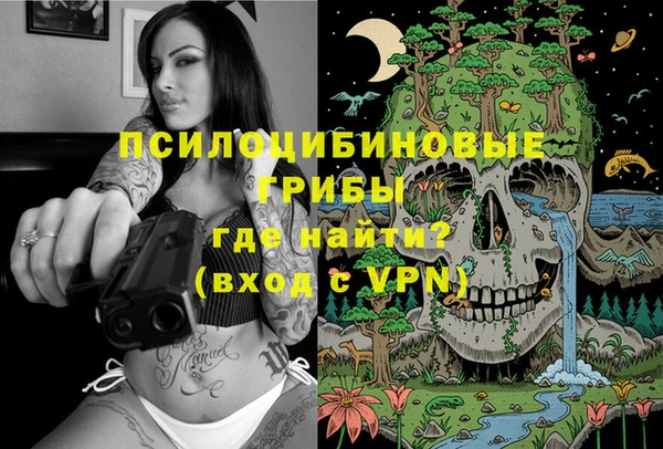 не бодяженный Алзамай