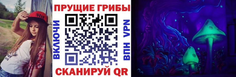 Псилоцибиновые грибы GOLDEN TEACHER  Геленджик 